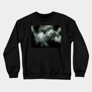 SNOWBELLS Crewneck Sweatshirt